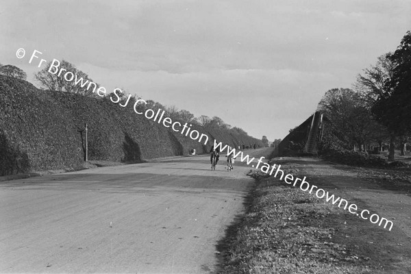 PHOENIX PARK MAIN ROAD WITH WARTIME TURF CLAMPS